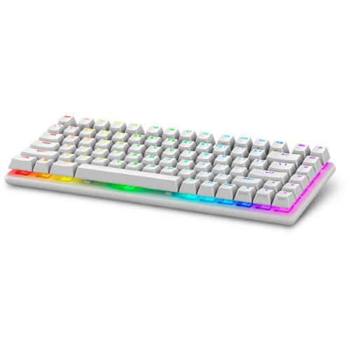 Alienware Pro Wireless Gaming Keyboard - Tastiera - 75% - compact TKL - AlienFX per tasto RGB/16,8 milioni di colori - senza fili - USB, 2.4 GHz, Bluetooth 5.1 - QWERTY - USA - interruttore: Switch meccanici lineari Alienware (hot-swappable) - luce lunare